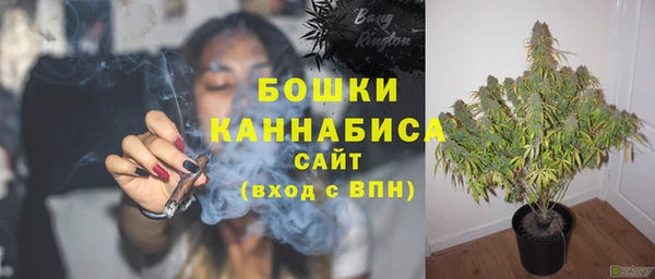 стаф Армянск