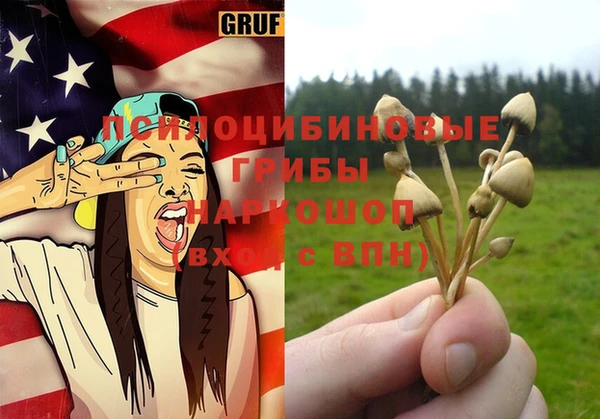 бошки Арсеньев