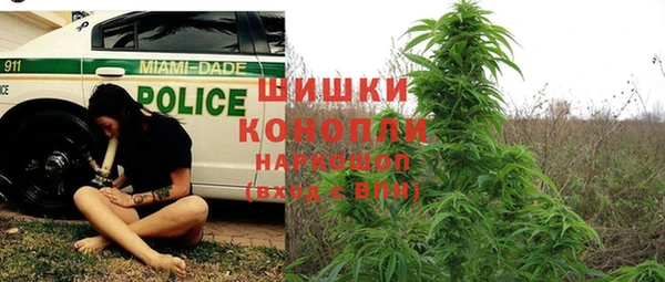 бошки Арсеньев