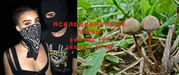 стаф Армянск