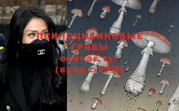 2c-b Аркадак